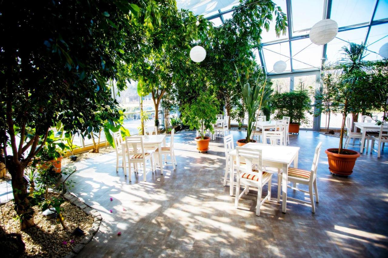Hotel Luka 라돔 외부 사진
